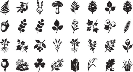 Hand Drawn Botanical Elements and Nature Line Art Icons Vector Set © Masuda