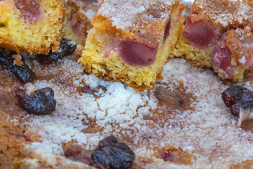 Fototapeta premium Homemade cherry cake slices with powdered sugar and raisins close up traditional fruit dessert texture