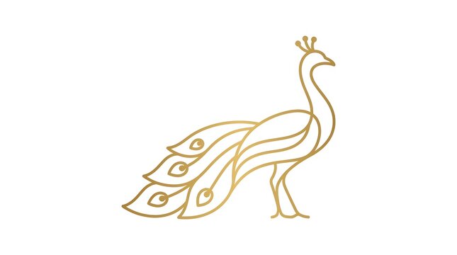 Luxury gold peacock logo template, minimalist bird line art vector isolated on white background
