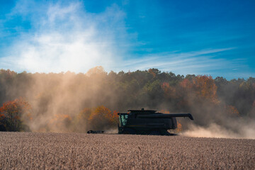 Fototapeta premium Combine harvester in a wheat field. Harvesting on rural farm. Combine harvester machinery. Agricultural Combine harvester at work. Rural landscape with a combine harvester. Work in the wheat fields.