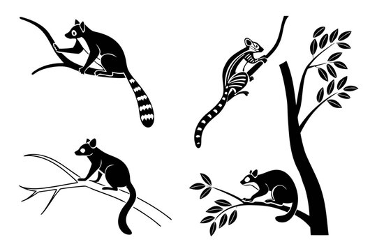 Black lemur and gecko silhouettes on tree branches