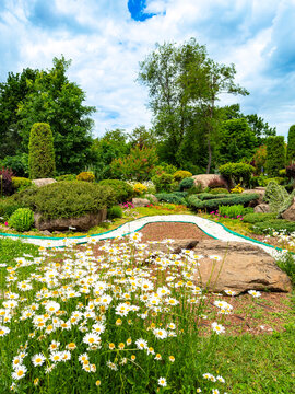 Rock garden with white daisy flowers in bloom. Landscaped park alpine slide featuring ornamental shrubs boulders and a winding path.
