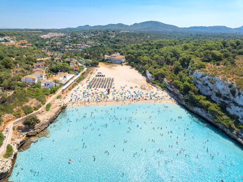 Aerial drone view of resort sandy beach in Mallorca, Spain. Crowded sea bay with turquoise water, tourists swimming, colorful umbrellas, houses on rocky coast, green trees. Summer seascape. Vacation