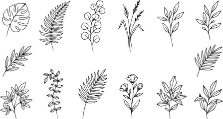 Fototapeta premium Minimalist hand drawn leaf twigs and wildflowers elegant floral elements isolated on white
