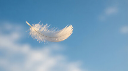 Single soft white bird feather floating and drifting gently against a clear blue sky with floating drifting delicate abstract weightless background peaceful minimalist atmosphere © Abdullah