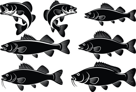 Freshwater fish silhouettes collection featuring bass walleye and catfish species vector