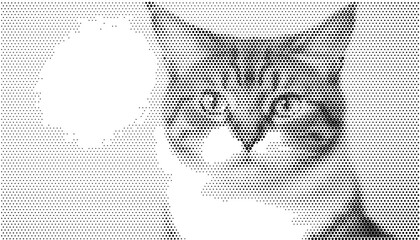 Domestic feline pet kitty kitten cat portrait showing monochrome black white dotted texture pattern graphic vector illustration. © Josnara