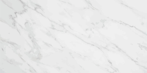 Fototapeta premium Elegant white marble texture background with subtle grey veining patterns high resolution grey veins background abstract interior material polished