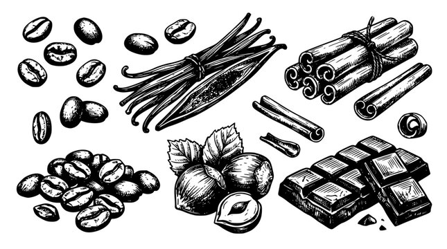 Collection of hand drawn coffee beans chocolate bar and aromatic spices isolated on white background for cafe menu design vector illustration