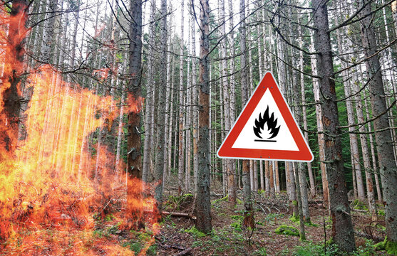Achtung Waldbrandgefahrt bei trockenem Wetter. Ein Wald mit Feuer und einem Gefahrenschild