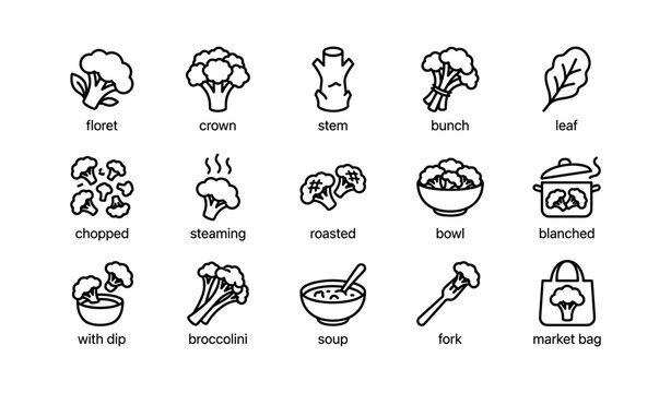 Broccoli icons showing parts and preparations on white background
