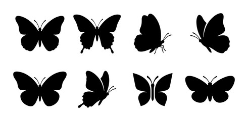 Black Butterfly Silhouettes, Insect Icons, Vector Graphics Collection © Laboni