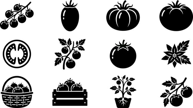 Set of tomato vector icons and silhouettes.