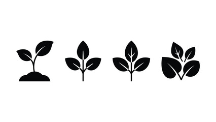 Four black silhouettes of plants with different leaf structures on white background © Artist hub
