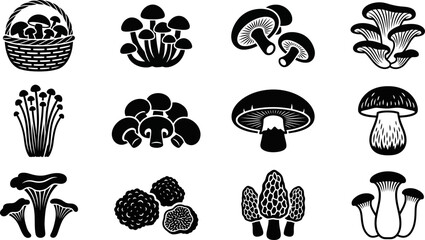 Set of various edible mushroom icons in black and white silhouette style. © Yasmine 