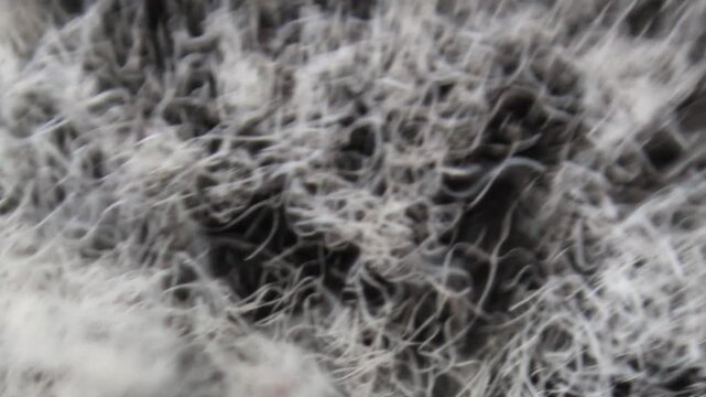 Macro texture of tangled, synthetic fibers with a plush appearance, variable focus, and an abstract look
