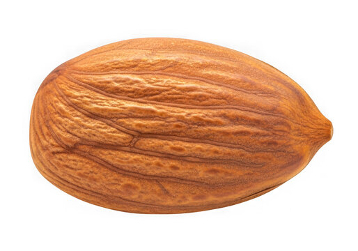 A single raw brown almond nut isolated for healthy food and cooking ingredients isolated on transparent background