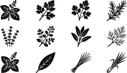 Set of hand drawn culinary herb and spice icons.