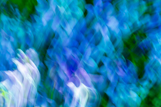 Abstract anemone ICM motion blur with blue nature texture