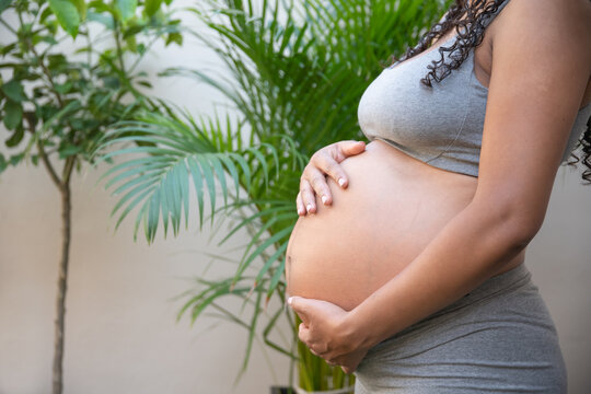 Pregnant woman holding belly at home with green plant