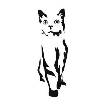 Vector drawing of a cat. Black and white gestalt design of a funny pet. Little kitty. Cute animal illustration. Postcard for International Cat Day. Drawing of an animal in the Gestalt style.