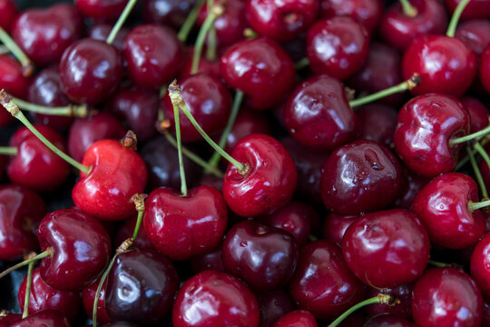 Pair of Ripe Cherries in Sharp Focus Surrounded by Fresh Fruit