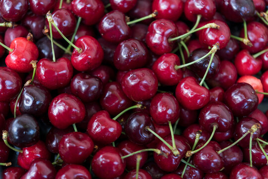 Fresh Ripe Sweet Cherries Forming a Natural Full Frame Background