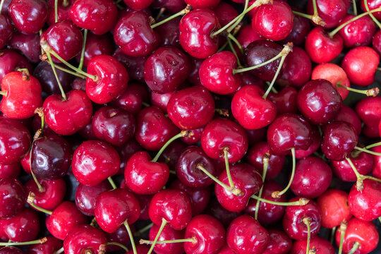 Top View of Freshly Harvested Sweet Cherries Filling the Frame
