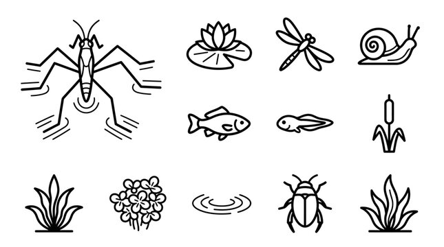 Pond Life Icons: Water Strider, Dragonfly, Snail, Fish, Tadpole, Plants