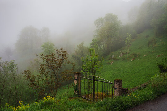 Misty Asturias hillside field landscape at peaceful sunset
