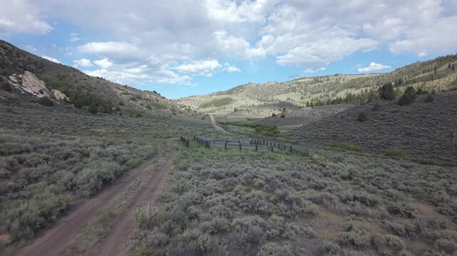 Scenic Mountain Landscape with Dirt Road and Lush Vegetation