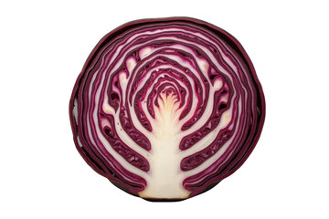 Obraz premium Red cabbage cross-section showing vibrant purple and white inner layers, fresh healthy organic vegetable, transparent background