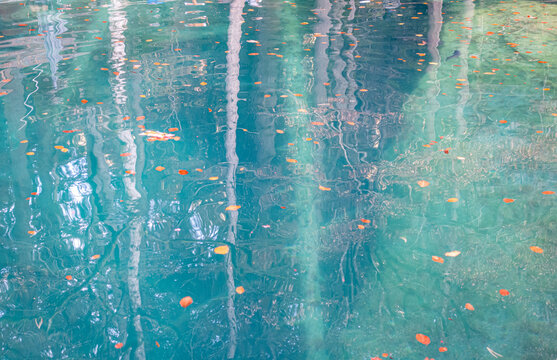 Abstract turquoise water surface with floating autumn leaf