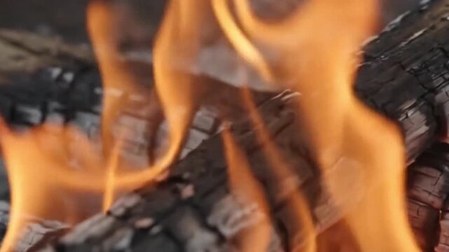 Closeup of burning logs in a campfire with bright orange flames and glowing embers