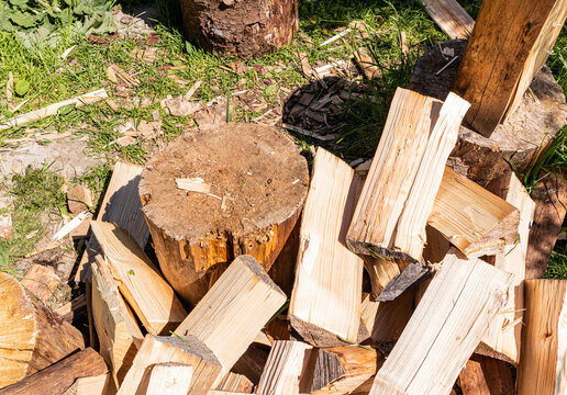 Chopped firewood pile beside stump in sunny backyard