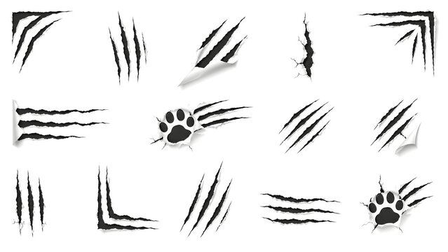 Black claw marks and animal scratch set, realistic ripped paper with predator paw prints, sharp beast talon slashes on white background
