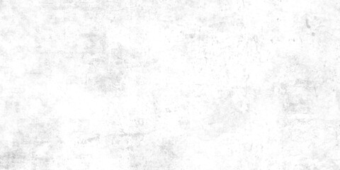 Fototapeta premium Abstract dust particle and dust grain on white background. Black and White Texture. Abstract monochrome grunge for text design, web, blank. 