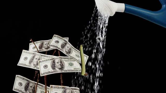 Money tree getting water from blue shower, green shoot growing upward, symbolizing finance growth