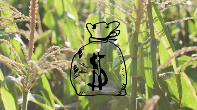 Sketch stroke appearing over central stalk, drawing money-bag morphing into sprout showing growth