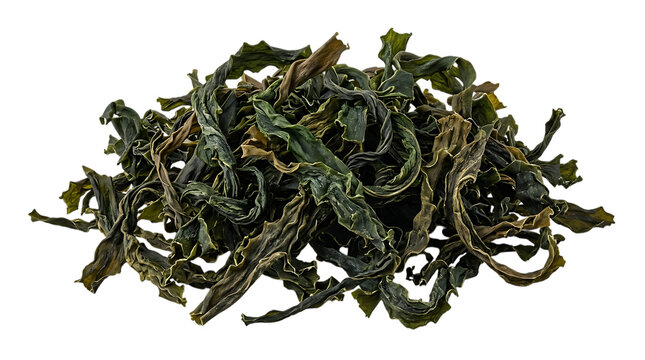 Fresh pile of green curly kale leaves
