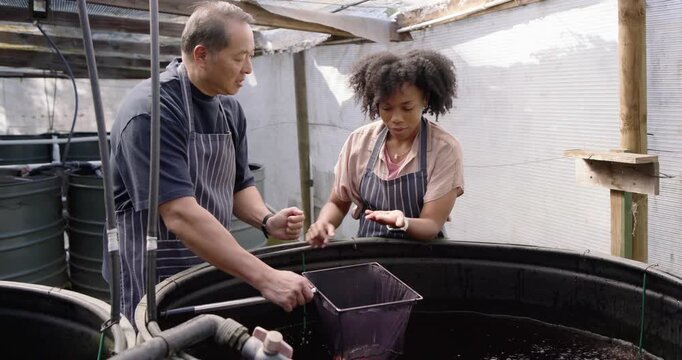 Senior Asian man training African woman at tank rim, showing specimen while adjusting net and pipes
