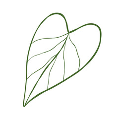 Hand-drawn outline illustration of philodendron leaf isolated on a white background. Vector clip art for flowershop logo, botanical poster, or sticker design. Line plant drawing. © Seja_aka_Lita