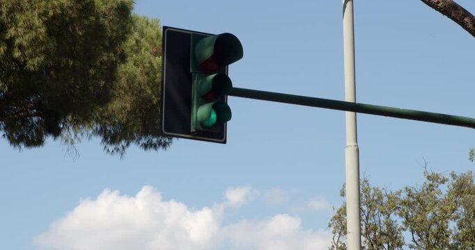 A clear, close-up shot of a city traffic light showing a bright red and green signal against a blue sky background. The traffic light is mounted on a black metal pole next to a leafy green tree.