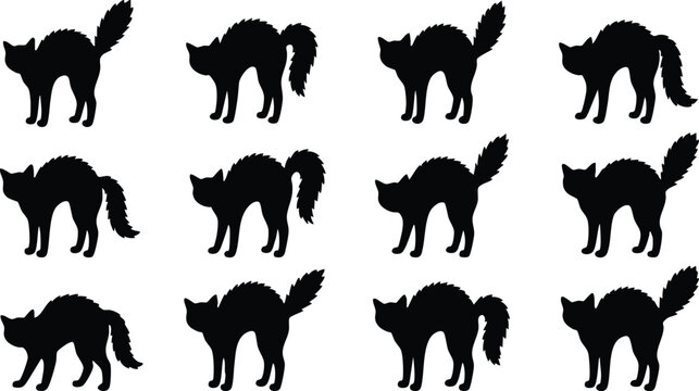 Set of black cat silhouettes in arched back poses isolated on a white background, for halloween themed, and spooky decorations
