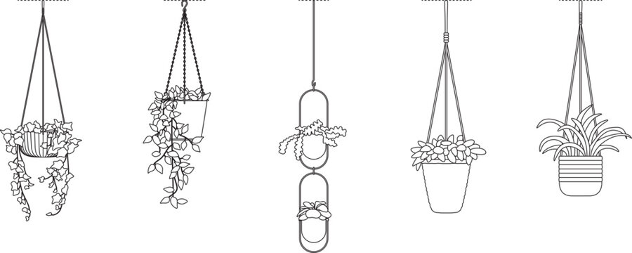 Hanging plant pot collection, planter, houseplant, indoor plant, editable stroke, vector