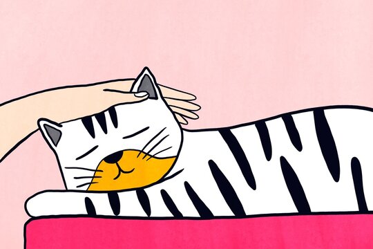 Cute cat cuddling with hand petting on pink background