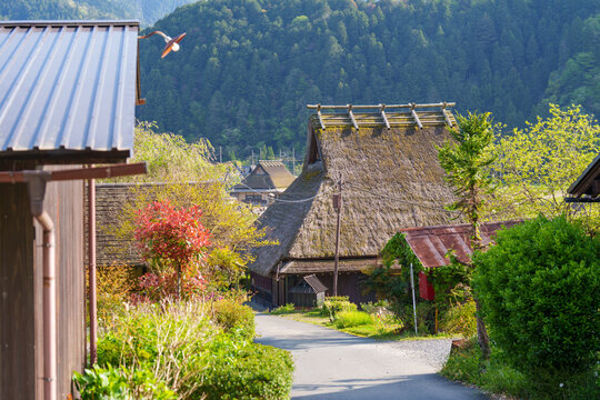 Thatched roof building in the Japanese traditional old village, Kayabuki Tamba Kogen Quaisi National Park. Miyama Japan