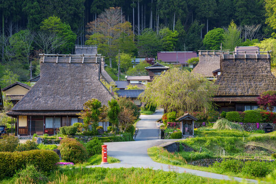Thatched roof building in the Japanese traditional old village, Kayabuki Tamba Kogen Quaisi National Park. Miyama Japan