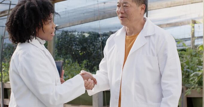 Diverse Sr Asian man and African woman starting handshake discussing study in hothouse with pad