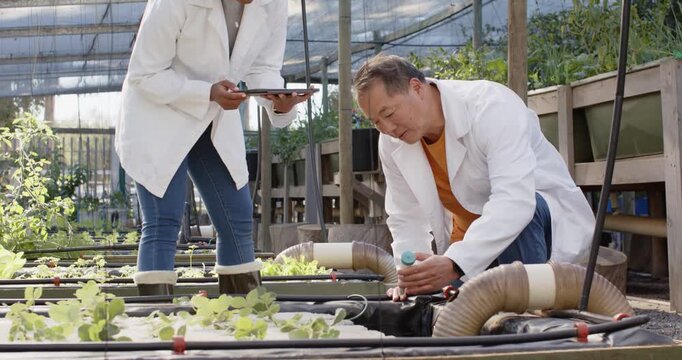 Diverse researchers inspecting troughs in greenhouse, adjusting valve, checking vial and tablet